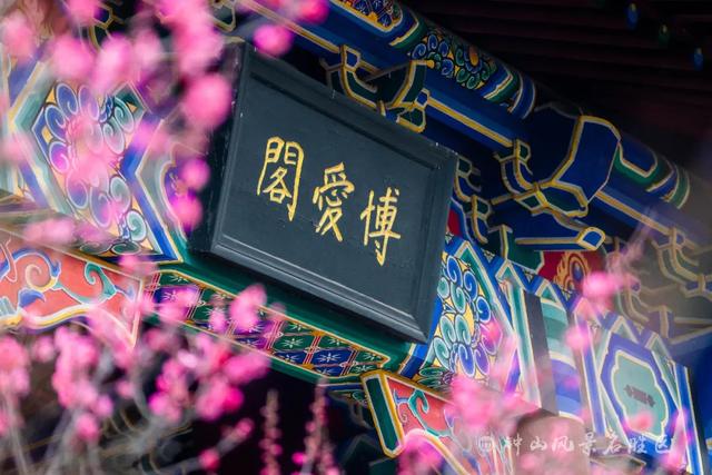 文化遗产：南京梅花山的文化，文化遗产的价值（天下第一梅山迎观赏期）