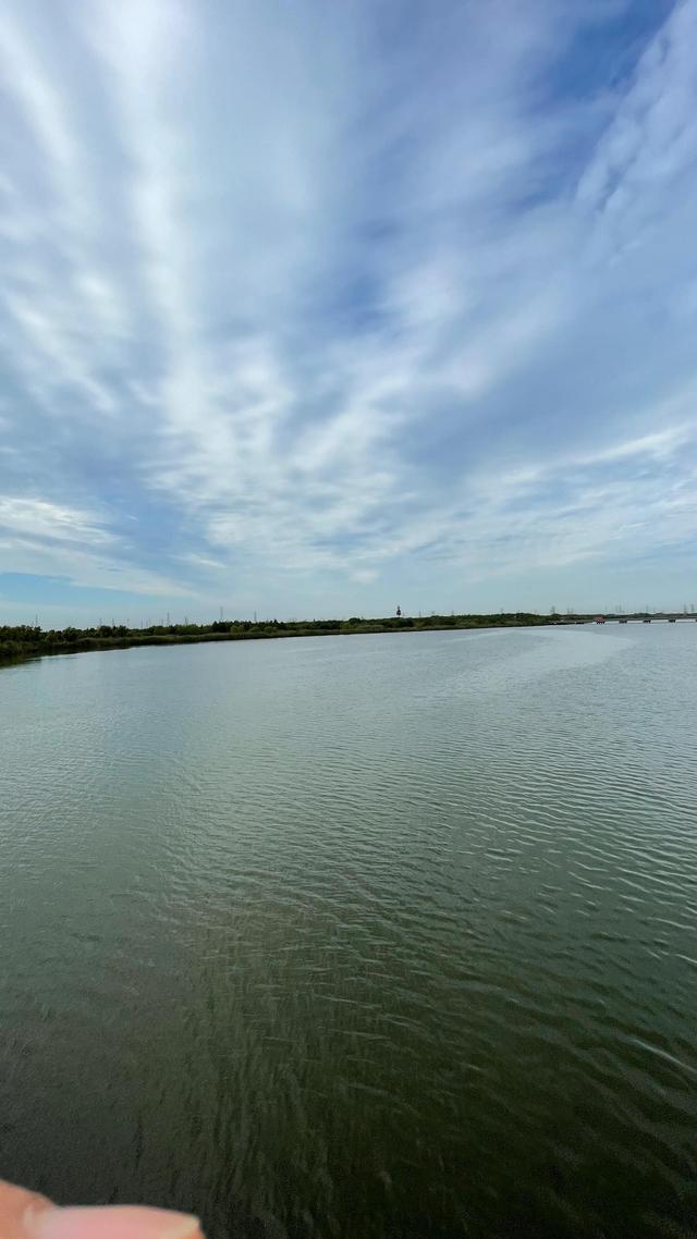 上海到青岛多远，上海到青岛的路程（上海青岛往返1400公里全程无高速沿途城市蜻蜓点水游）