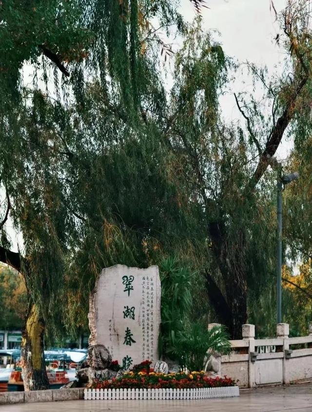 云南最好吃的野生菌在哪，中国最浪漫城市非她莫属