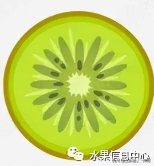 浆果是什么，浆果是什么软件（不同水果的不同包装<浆果篇>）