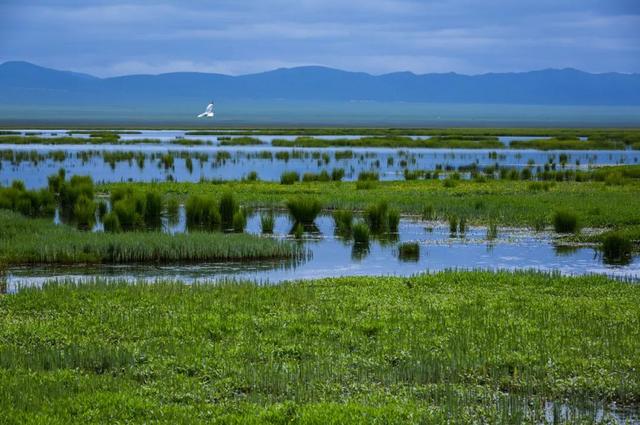 暑假去哪里旅游好，暑假去哪里旅游好玩2021（最适合去的12个美景地）