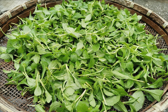 二月二吃什么传统食物，七夕节吃什么传统食物（“仲春四头”别忘记吃了）