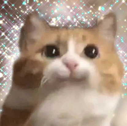 深圳四大名校高中，深圳四大名校高中地址（数理班、国际班都有）