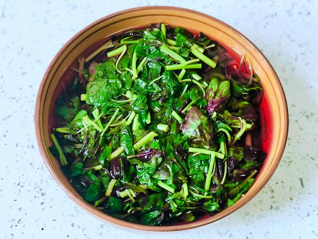 高菜是什么菜,高菜是什么样的(多吃这种"5高菜")