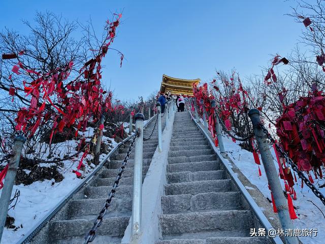 洛阳老君山风景区旅游攻略，洛阳老君山风景区旅游攻略图（这份保姆级攻略请收好）