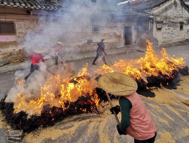 客家娘酒和黄酒的区别，客家黄酒是什么酿的（白酒百科：“烧春”不是白酒）