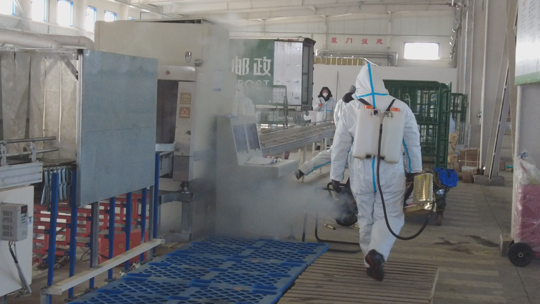 ems是什么快递公司，ems是什么快递（你的邮政快递到了吗）