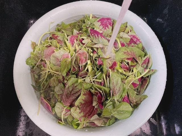 孕妇吃什么蔬菜，孕妇吃什么蔬菜好（也要吃这6种蔬菜）