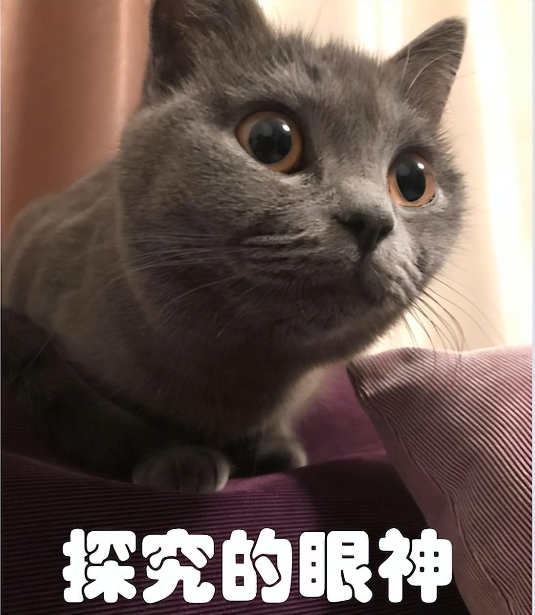 刑法第十七条内容（十问十答）