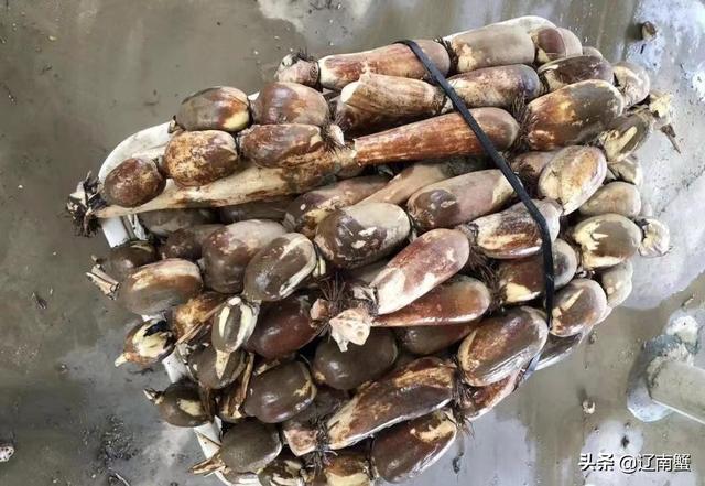 广州南沙有什么景点，广州南沙有什么景点值得去（6景必看9美食必吃）