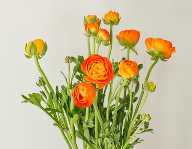 婴儿送什么礼物好，新生宝宝送什么礼物最好（这几类物品实用寓意还好）