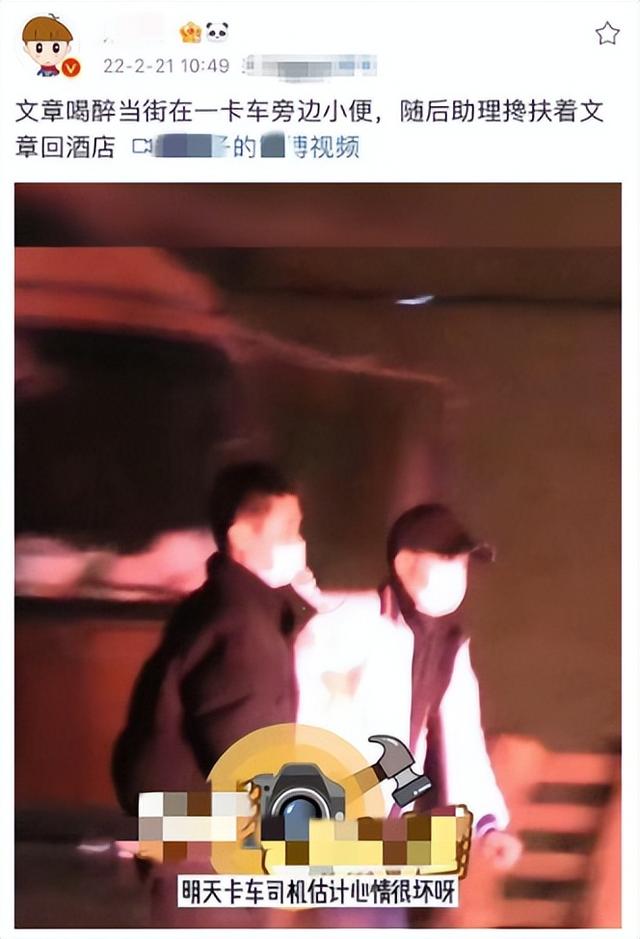 文章主演的电视剧，文章主演的电视剧大全集（人生差距一个天一个地）