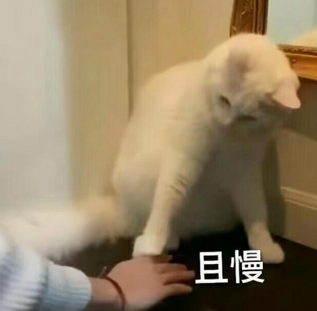 青岛有哪些学校（青岛这五所高大上的学校）