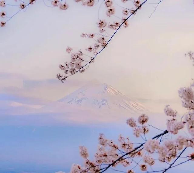 陈奕迅 - 富士山下歌词是什么，陈奕迅有几个孩（《富士山下》——谁能凭爱意要富士山私有）