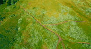 土地性质分类和用途，怎么查个人土地信息（附中国土壤的分类及分布）