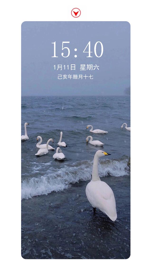 好看图片.，好看图片风景（爆好看的高质量手机壁纸）