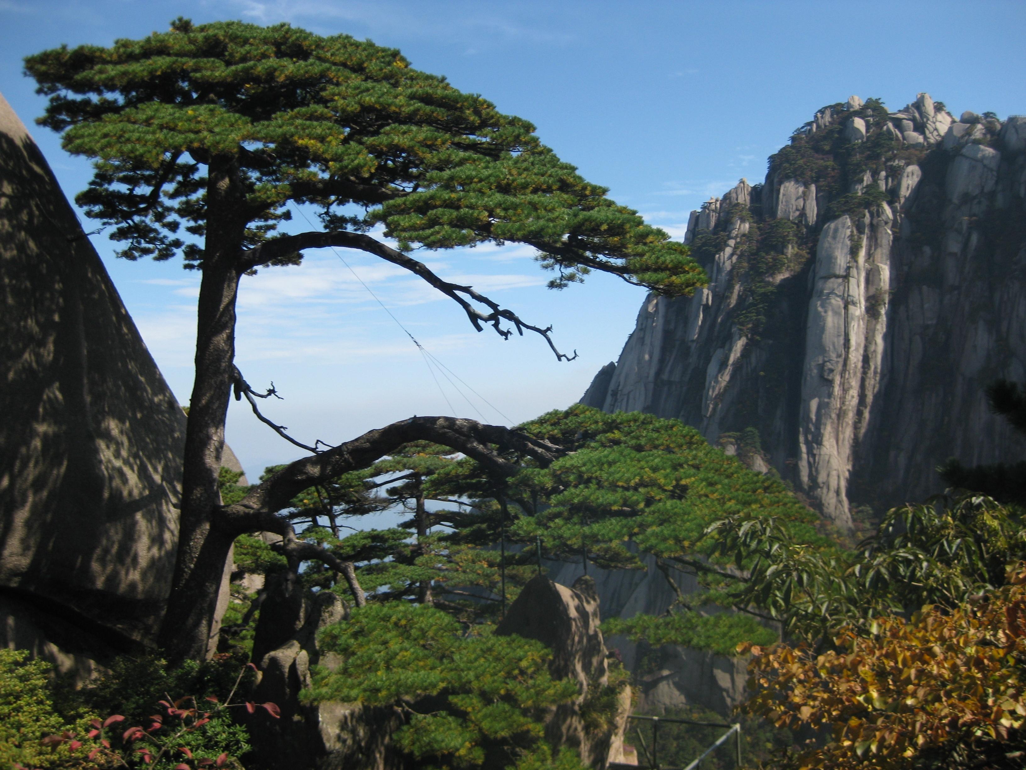 世界十大名山，世界十大名山排名榜（中国十大名山 你登过几个）