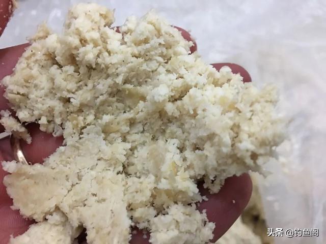 鲢鳙怎么吃，鲢鳙怎么吃饵料的（几块钱就能自制一大盆）