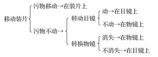 蔗糖是不是还原糖，麦芽糖和蔗糖是不是还原糖（高中生物易错题NO.2）