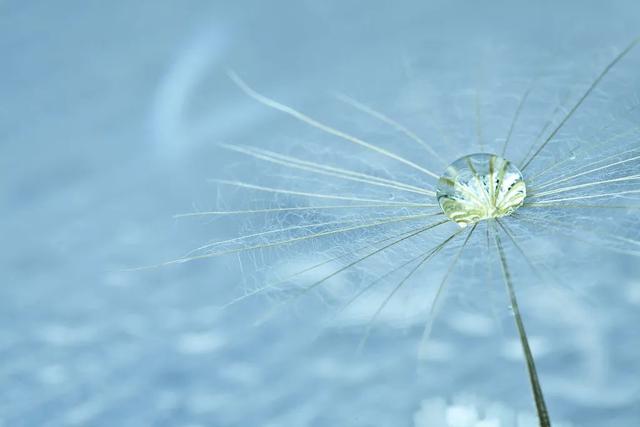 衤字旁的笔顺视频，衣字的笔顺怎么写（白露，露从今夜白，月是故乡明）