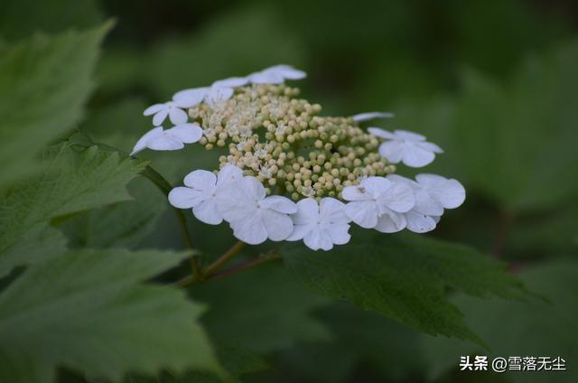我想和你好好的结局，我想和你好好的大结局是什么（若还想老公把你当个宝）