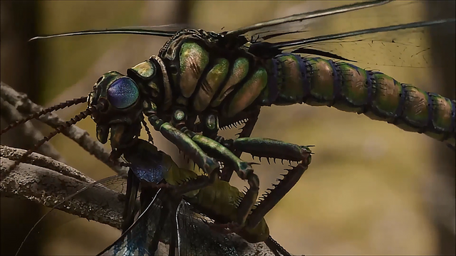 昆虫类有哪些动物，宠物种类有哪些（地球上体型最大的10种动物）