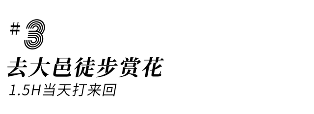 附近的景点哪里好玩的地方，附近旅游点好玩的地方在哪里（成都周边10处踏青好耍地）