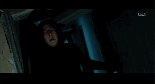 斯内普是好人还是坏人，《哈利波特》中斯内普是好的还是坏的（被嫌弃的斯内普的一生）