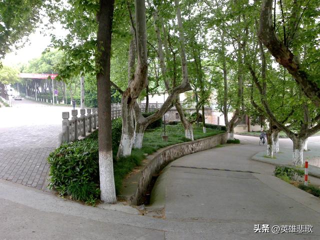江苏大学京江学院怎么样，王牌专业是什么（江苏大学与安徽大学）