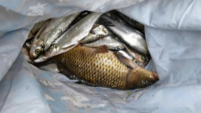 附近哪里可以钓鱼，附近哪里好钓鱼（昆明周边100公里柴石滩水库）