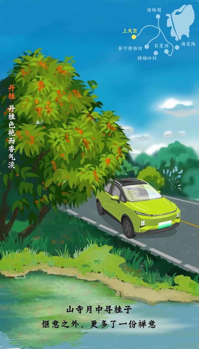 怎么画桂花树，怎么画桂花树古风（00后萌妹手绘赏桂攻略）