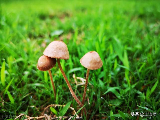下旬是几号到几号，十月下旬是几号到几号（2022年梅雨季节是什么时间）