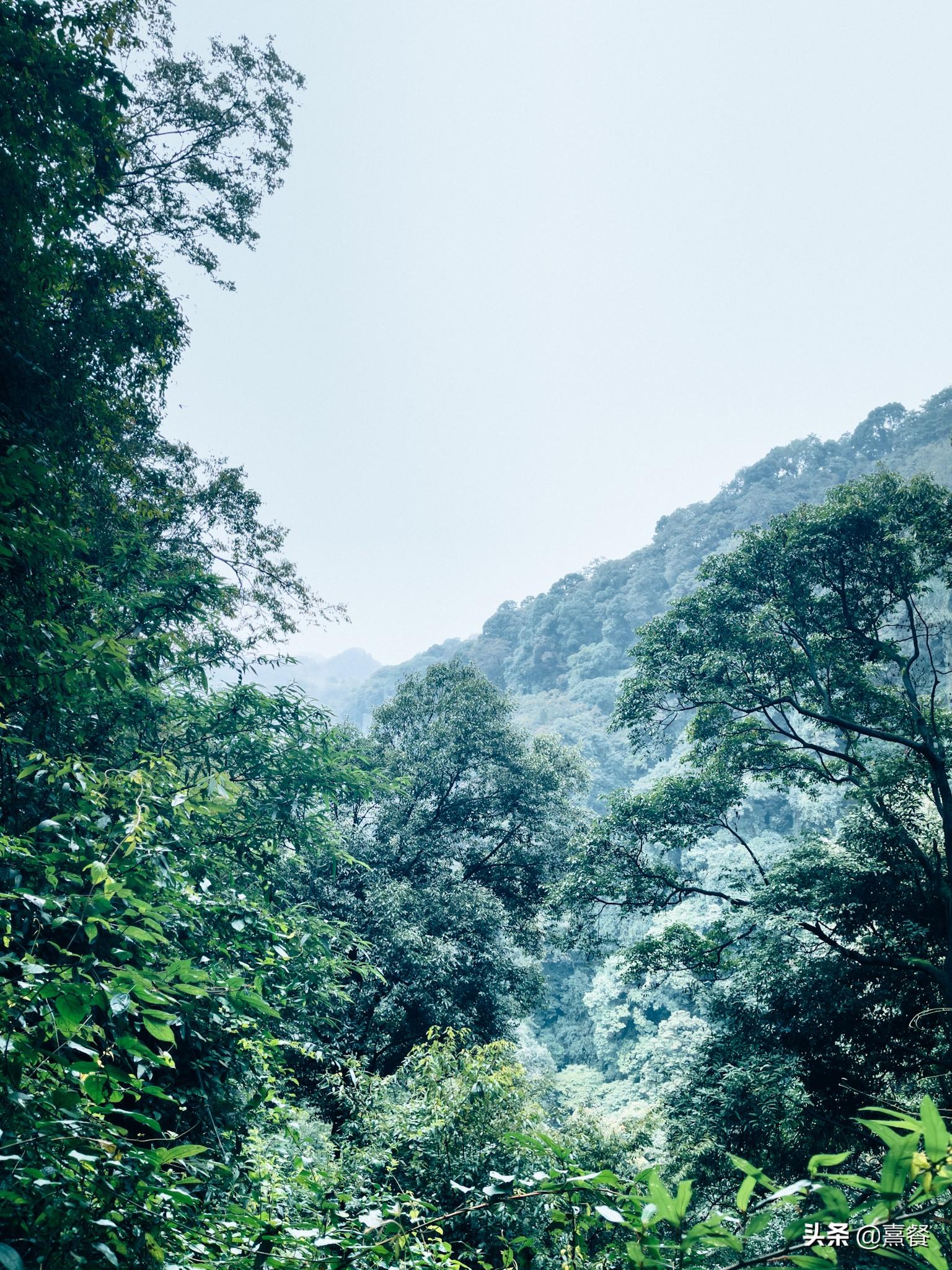 青城山后山门票(青城山后山景区门票)