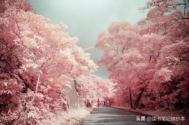 导致的英语短语，导致的英语（考研英语二2012年真题）