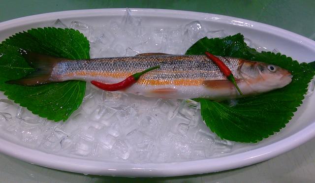 白色的鱼是什么鱼，白色的观赏大鱼是什么鱼（黑龙江鱼类之“三十二杂鱼”图谱）