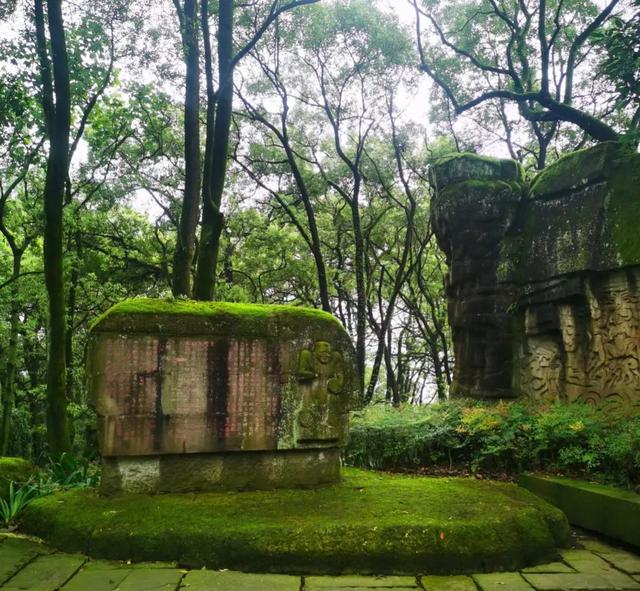 歌乐山森林公园，重庆主城700米高山-歌乐山森林公园乘凉