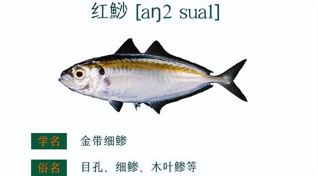 赤魟鱼的做法有哪些，赤眼鲮鱼的做法（香葱香菜豆豉油清蒸迦魶魚）