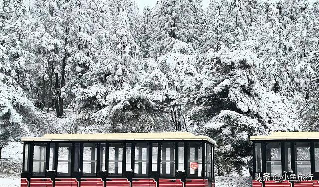 仙女山旅游攻略，重庆仙女山一日游攻略（2021年最全重庆武隆仙女山玩雪赏雪滑雪攻略）