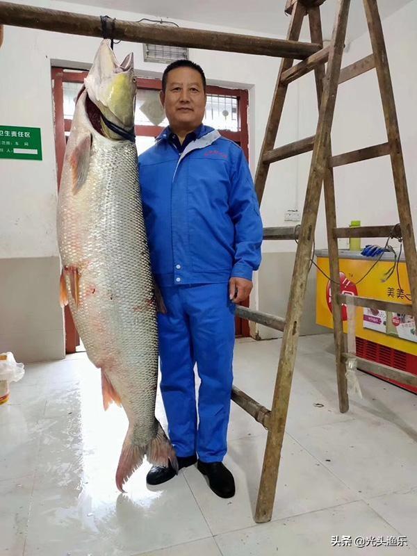 巨型淡水鱼有哪些，中国七大淡水鱼之王图片