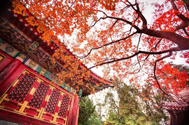 新旅游北京篇之香山公园