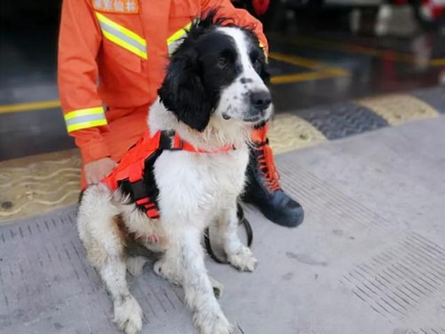 汶川地震最牛三轮车事迹报道，14年前就是他们从莒县开着三轮车赶到汶川抗震救灾