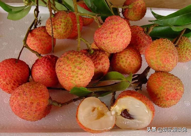 100种水果名字和单独的图片，水果大全名字100种水果（中国各省代表性水果）
