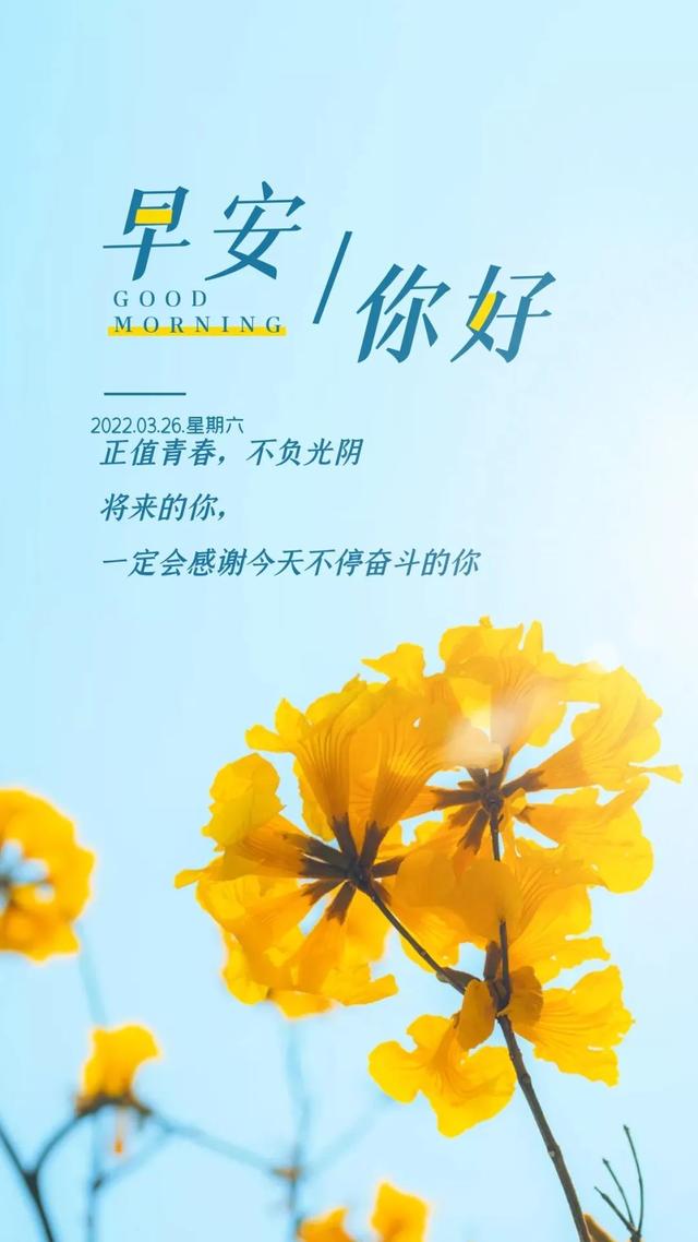 工作励志正能量文案，正能量满满的励志句子有哪些（早安心语，正能量努力工作文案）