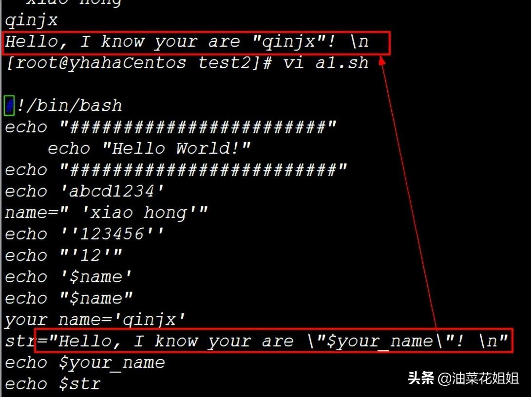 shell脚本基础教学