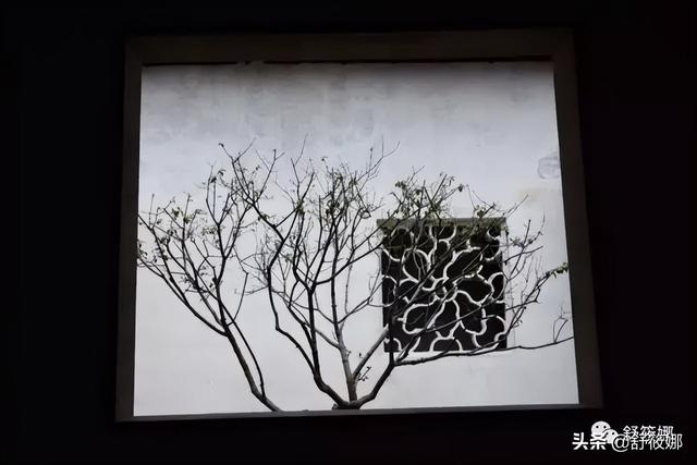 狮子林简介，狮子林简介和历史（苏州园林-狮子林）