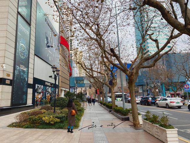 身份证310开头是哪里的，身份证在哪里办理（这三个数字是什么意思）