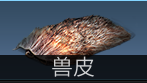 明日之后兽角怎么得，明日之后中兽角怎么获得（五分钟助你成为快）