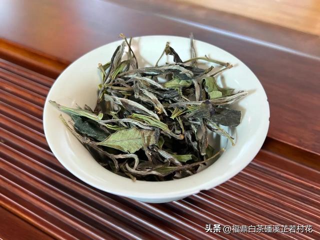 福鼎白茶产区磻溪，带你了解白茶优质产区，磻溪镇