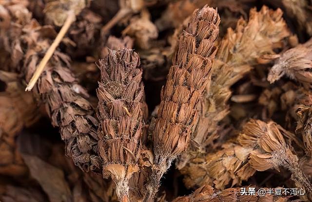 扁桃体发炎偏方，扁桃体发炎偏方立刻见效（扁桃体发炎反反复复）