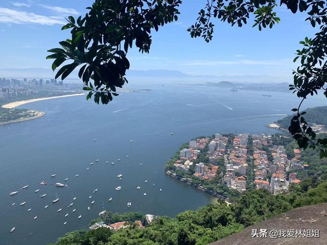 拉丁美洲面积最大的国家是，拉丁美洲面积最大的国家是巴西吗（为什么文化差异如此巨大）